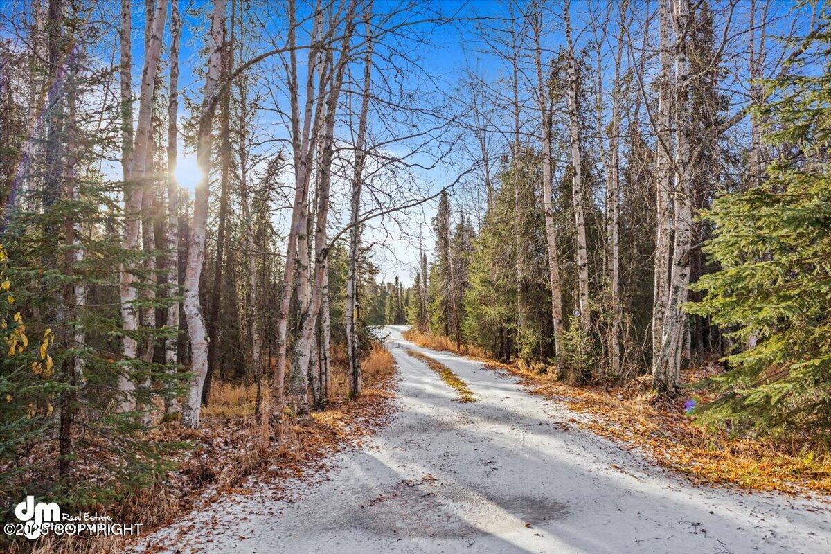 17709 Willow Fishhook Road Rd, Willow, Alaska image 32