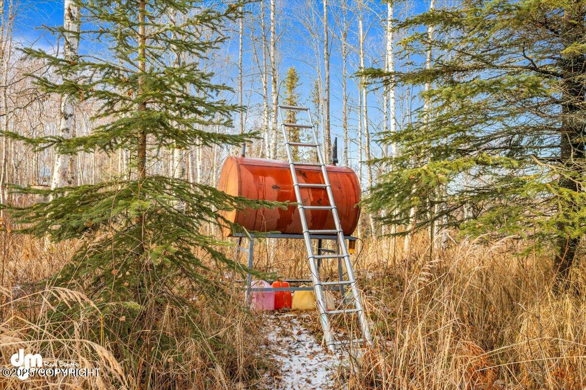 17709 Willow Fishhook Road Rd, Willow, Alaska image 29