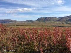 L107 S Cache Creek Drive, Trapper Creek, Alaska image 6