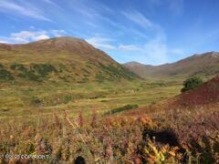 L107 S Cache Creek Drive, Trapper Creek, Alaska image 7