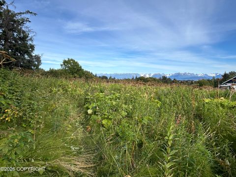 Vacant Land For Sale - 4560 Craftsman Road<br/> Homer, AK 99603