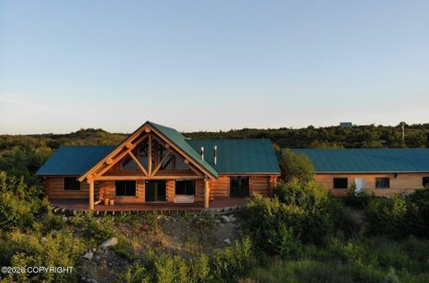 7858 Katmai Road King Salmon AK 99613