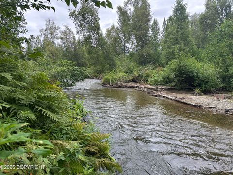 Vacant Land For Sale - 23963 W Johnson Drive<br/> Willow, AK 99688