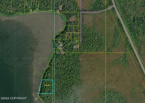 Photo of Lot 19 Mitkof Island, Petersburg, AK 99833 (MLS # 24-12314)