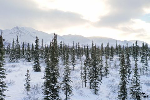 Vacant Land For Sale - B1-L3 Denali Jack River Canyon<br/> Cantwell, AK 99729