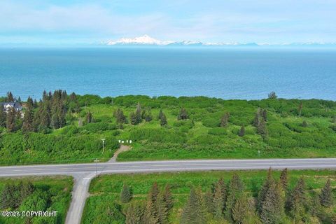 Vacant Land For Sale - L4 Sterling Highway<br/> Ninilchik, AK 99639