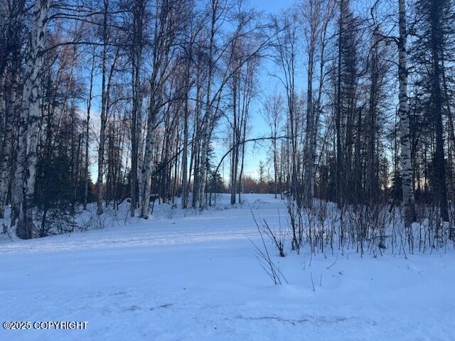 14401 E Ian Tawney Drive, Willow, Alaska image 2