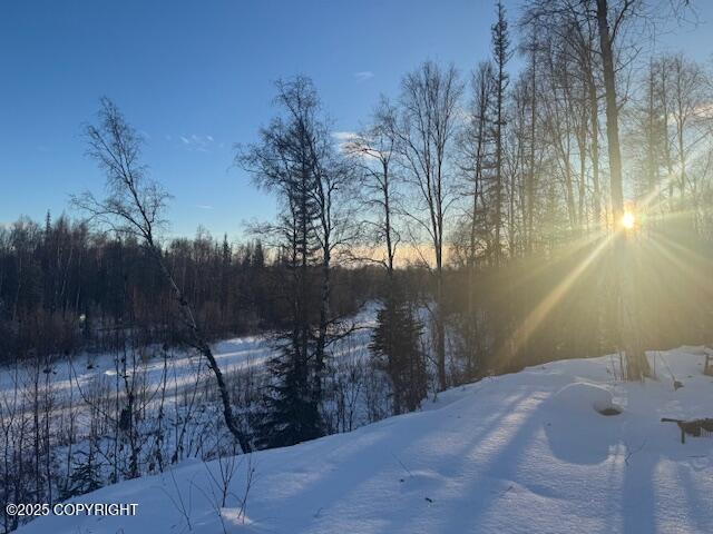 14401 E Ian Tawney Drive, Willow, Alaska image 1