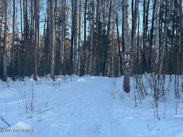 14401 E Ian Tawney Drive, Willow, Alaska image 4