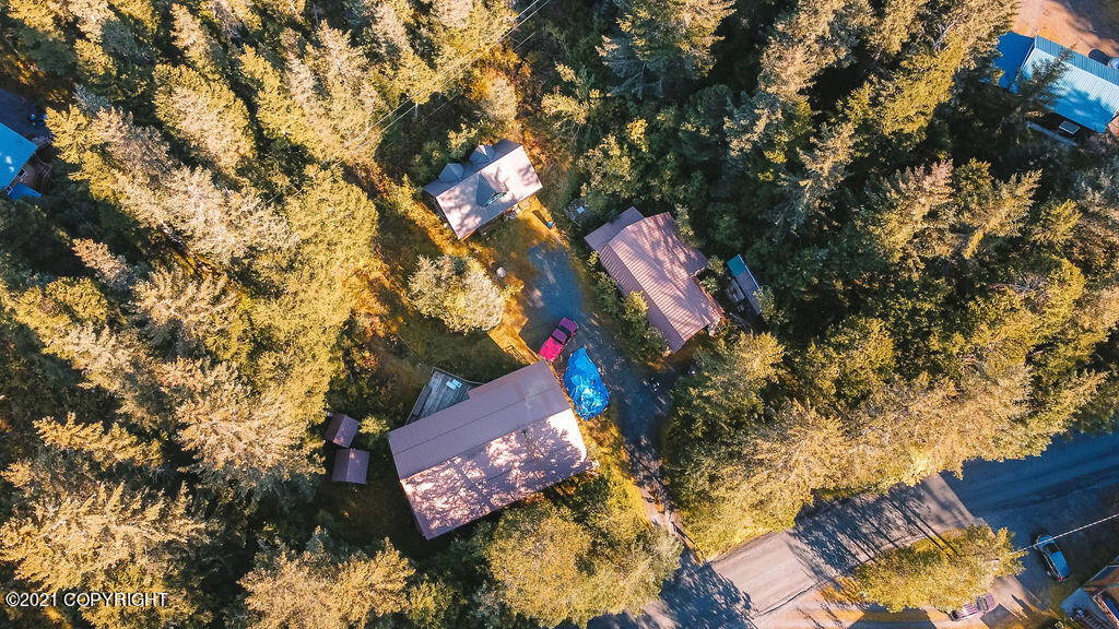 12286 Lancelot Drive, Seward, Alaska image 5