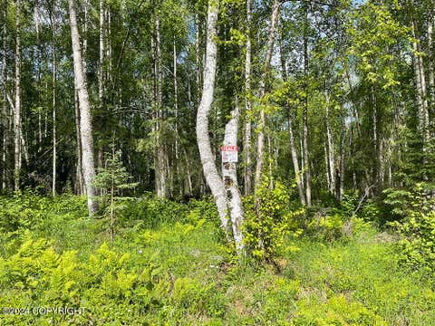 Vacant Land For Sale - 48484 S Grizzly Bear Circle<br/> Willow, AK 99688