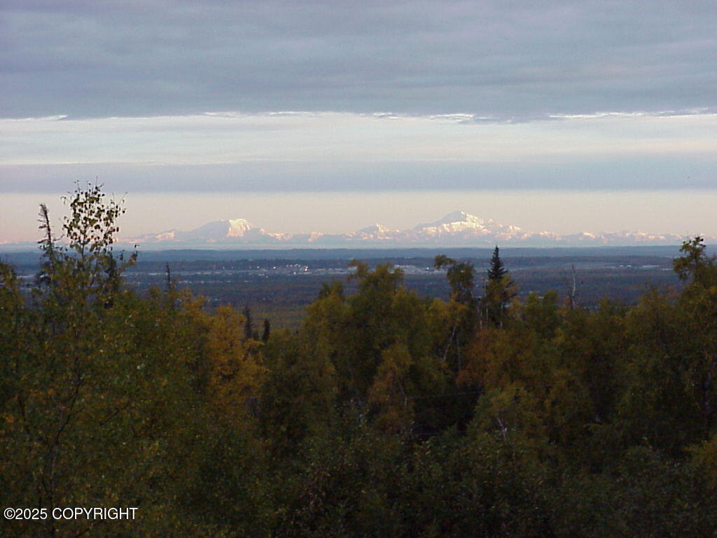 9300 Buddy Werner Drive, Anchorage, Alaska image 13