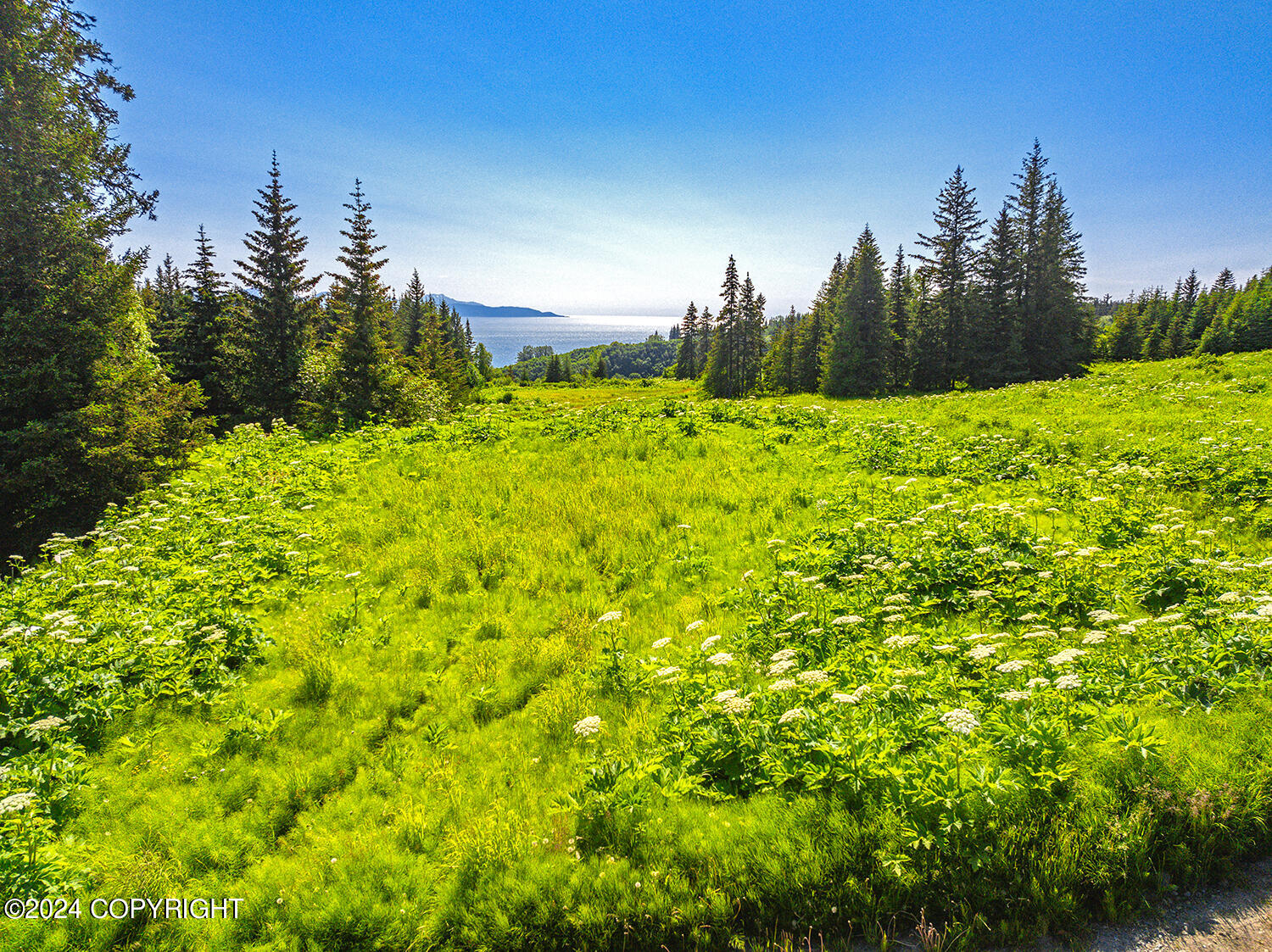 129 Whispering Meadows Avenue, Homer, Alaska image 7