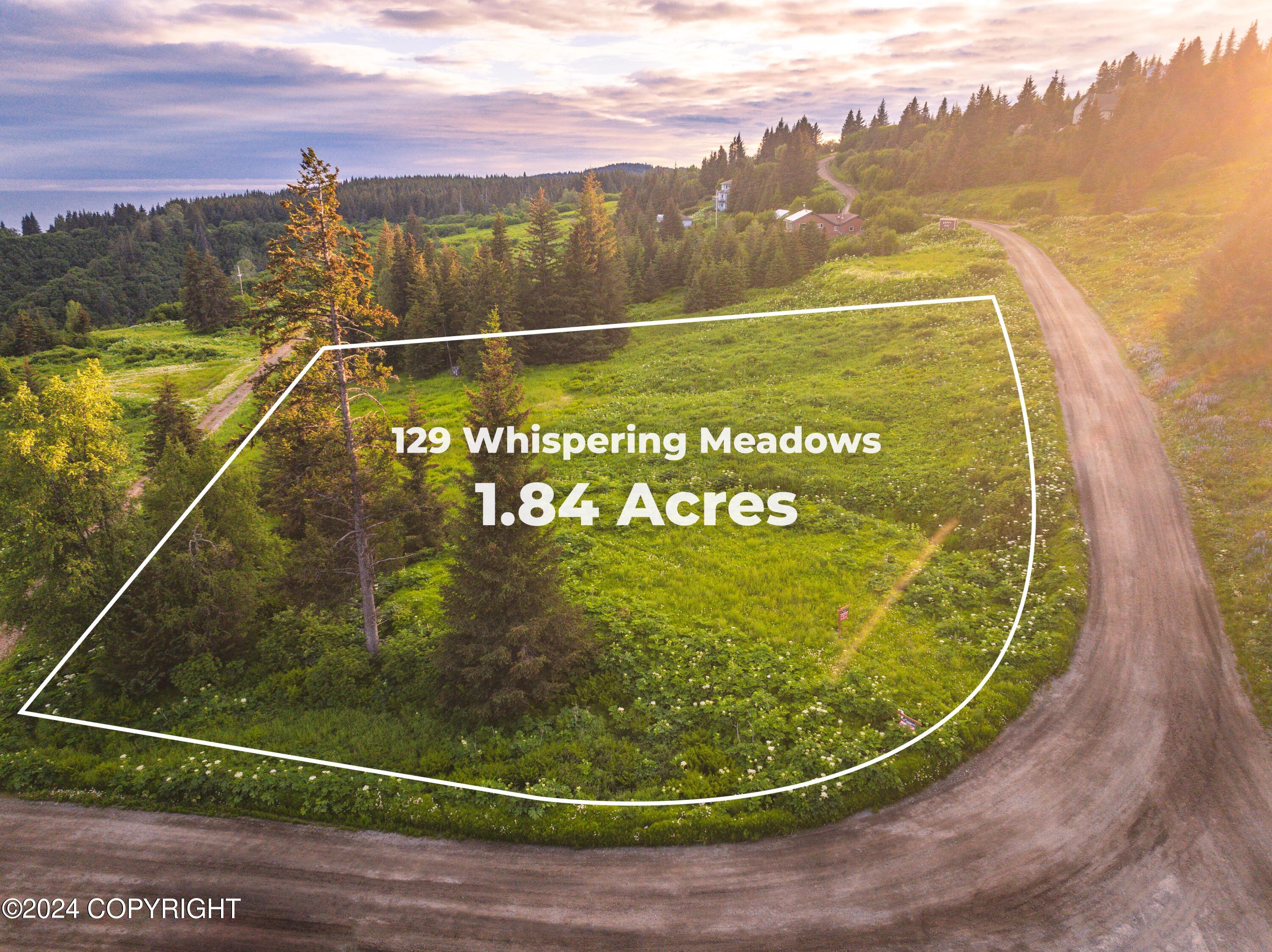 129 Whispering Meadows Avenue, Homer, Alaska image 3