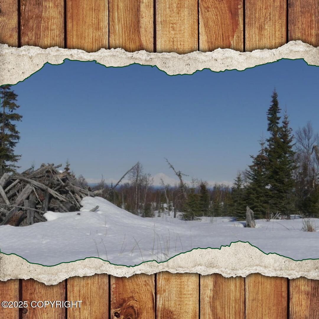 14953 Jesses Trail, Ninilchik, Alaska image 1