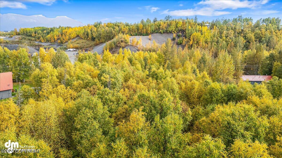 1150 S Hyer Road, Wasilla, Alaska image 7