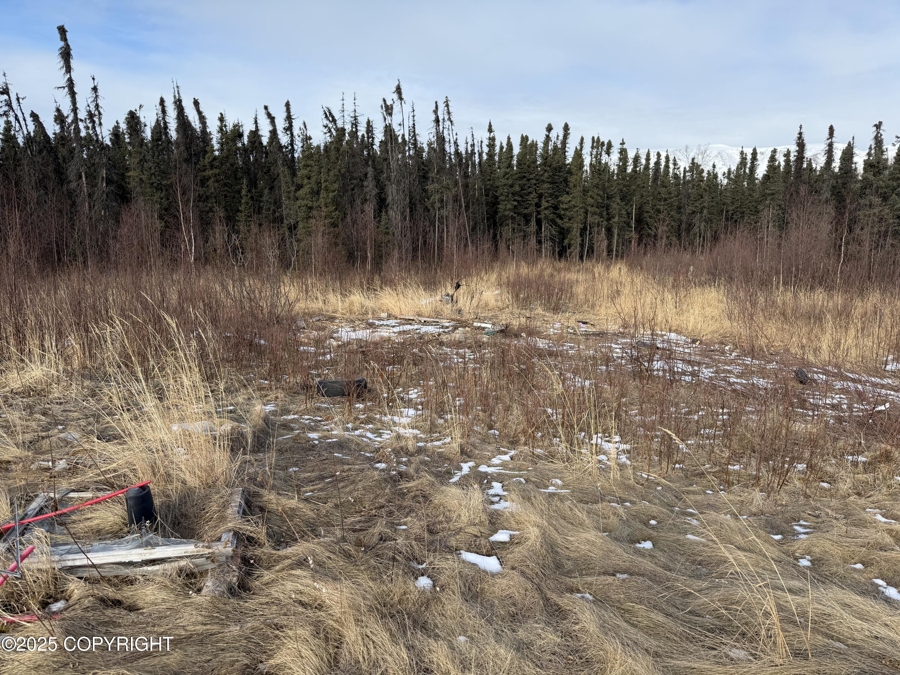 895 E Heather Way, Wasilla, Alaska image 9