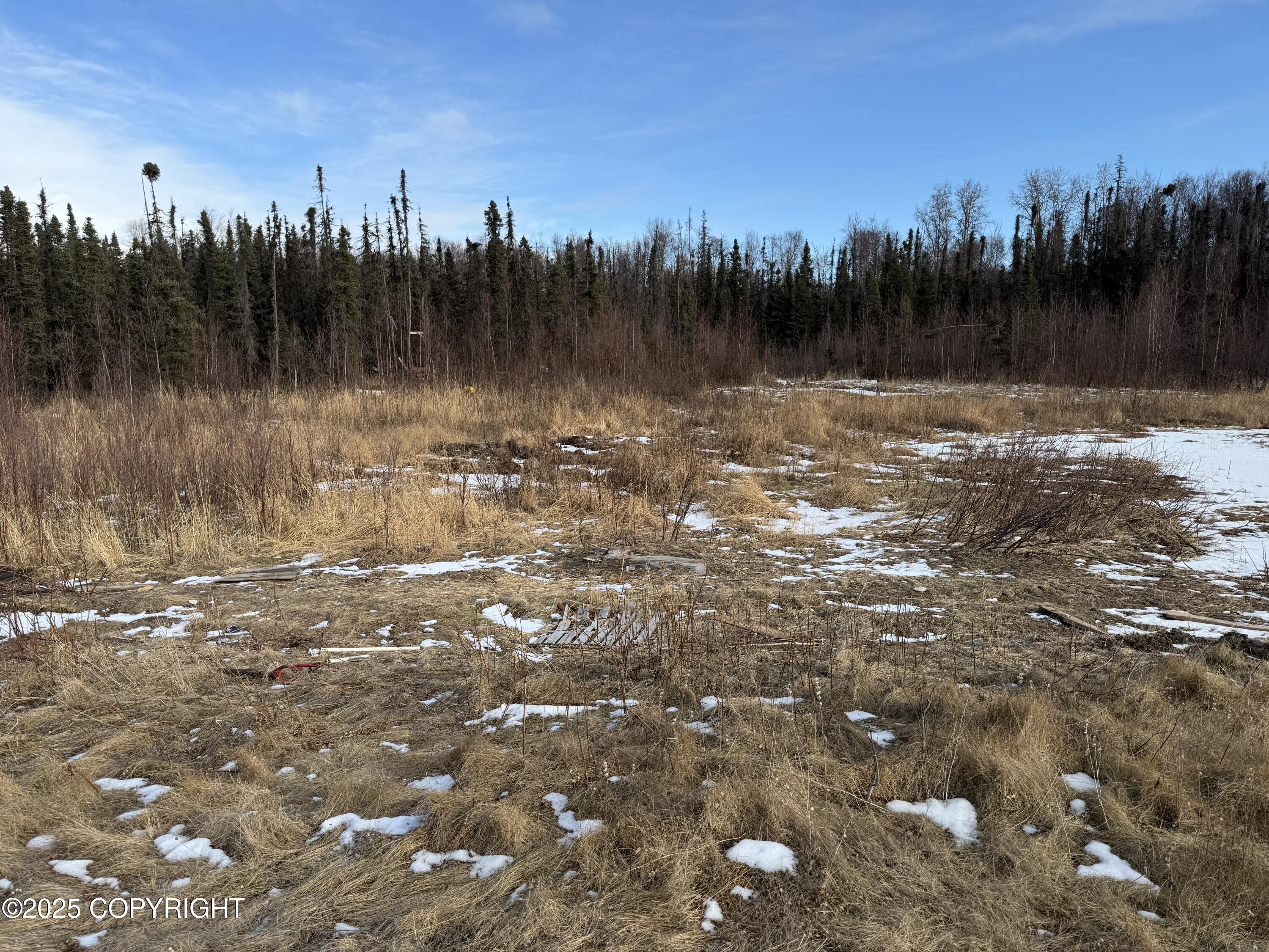 895 E Heather Way, Wasilla, Alaska image 3