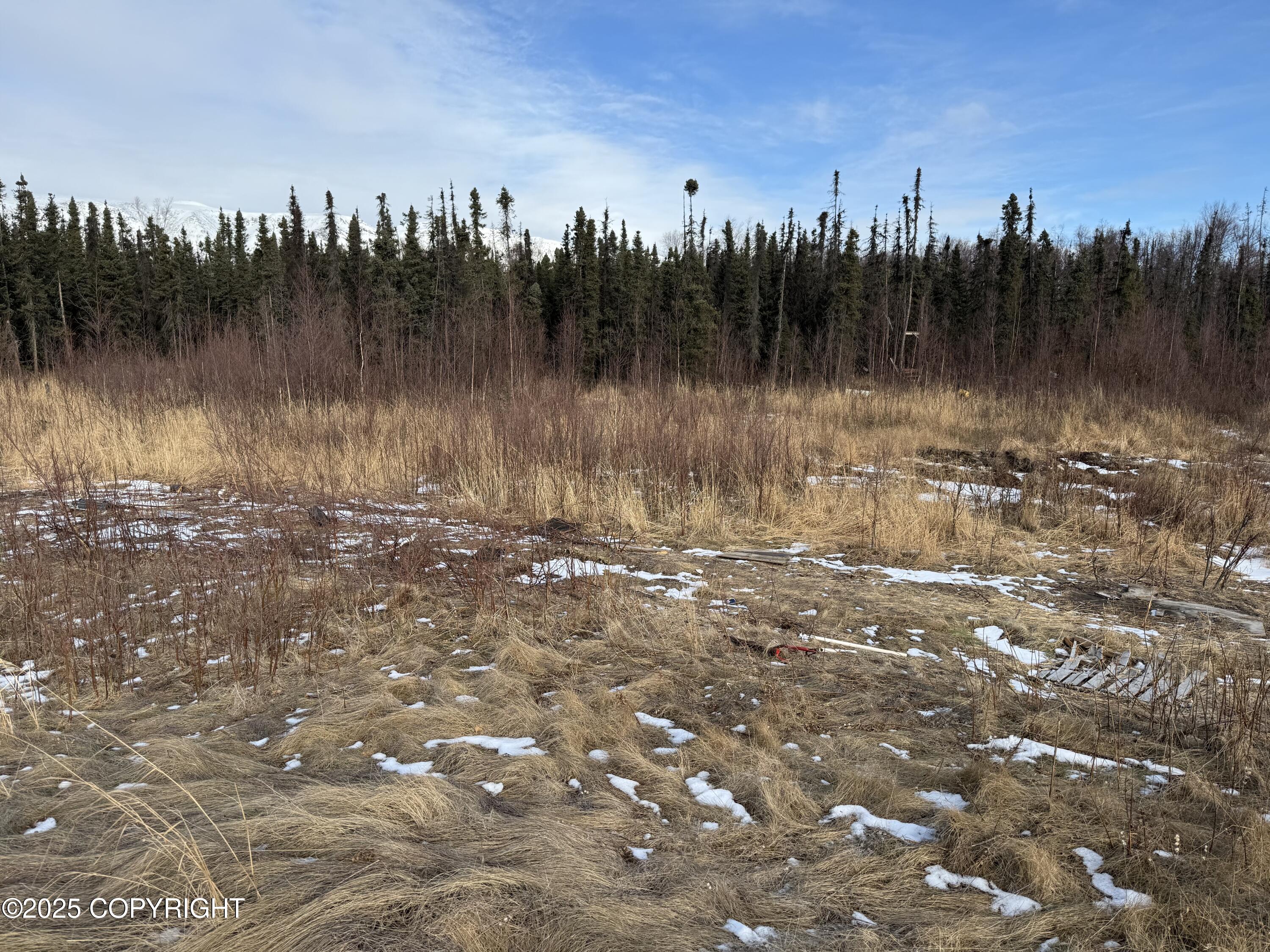 895 E Heather Way, Wasilla, Alaska image 4
