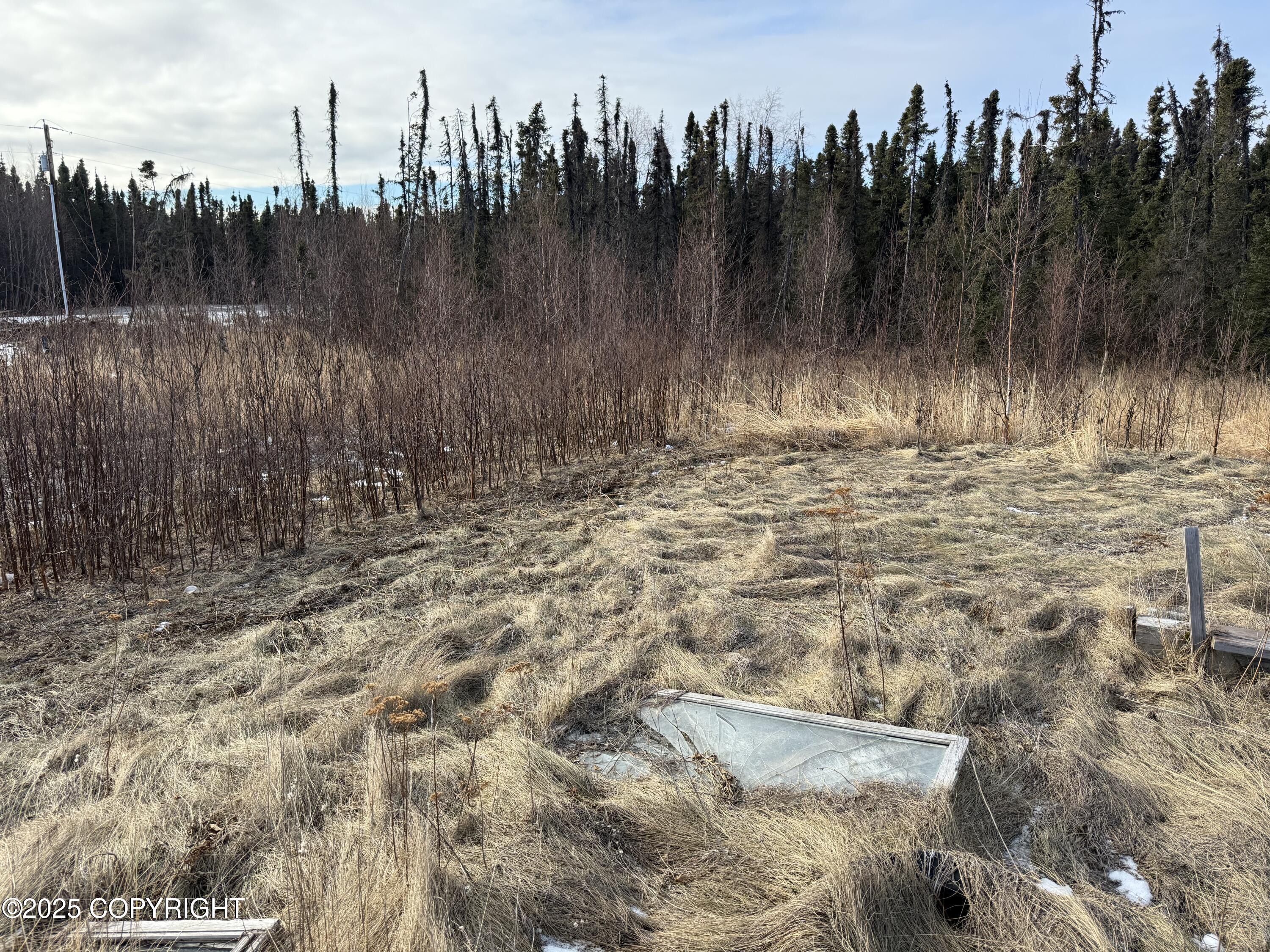895 E Heather Way, Wasilla, Alaska image 11