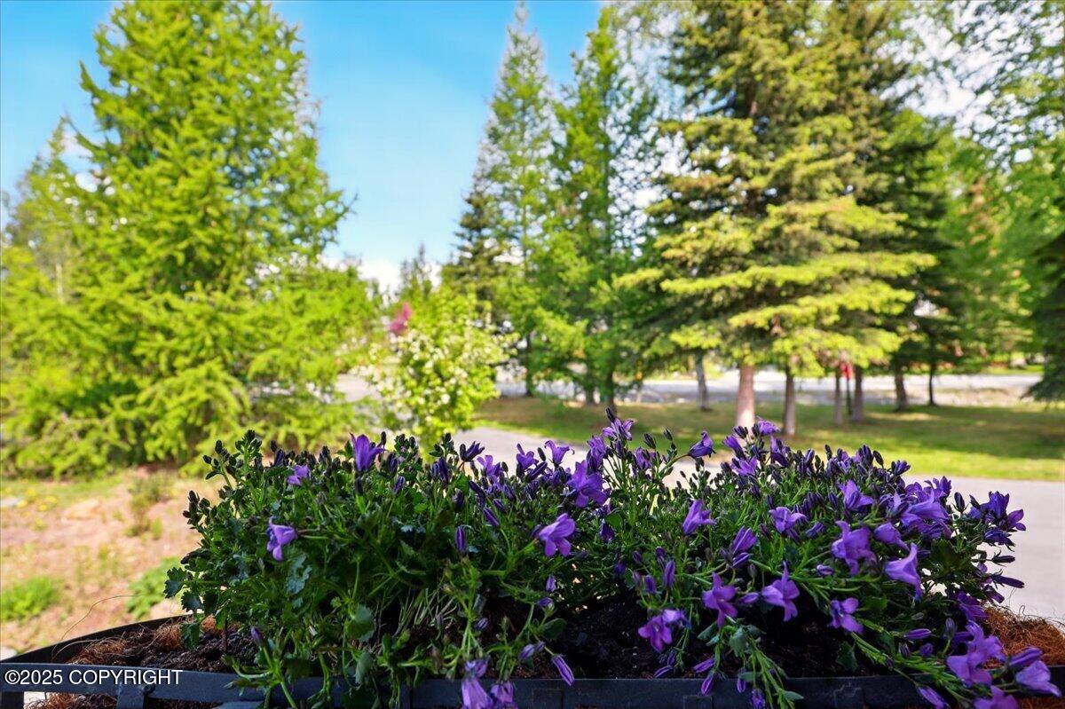 6840 S Frontier Drive, Wasilla, Alaska image 38