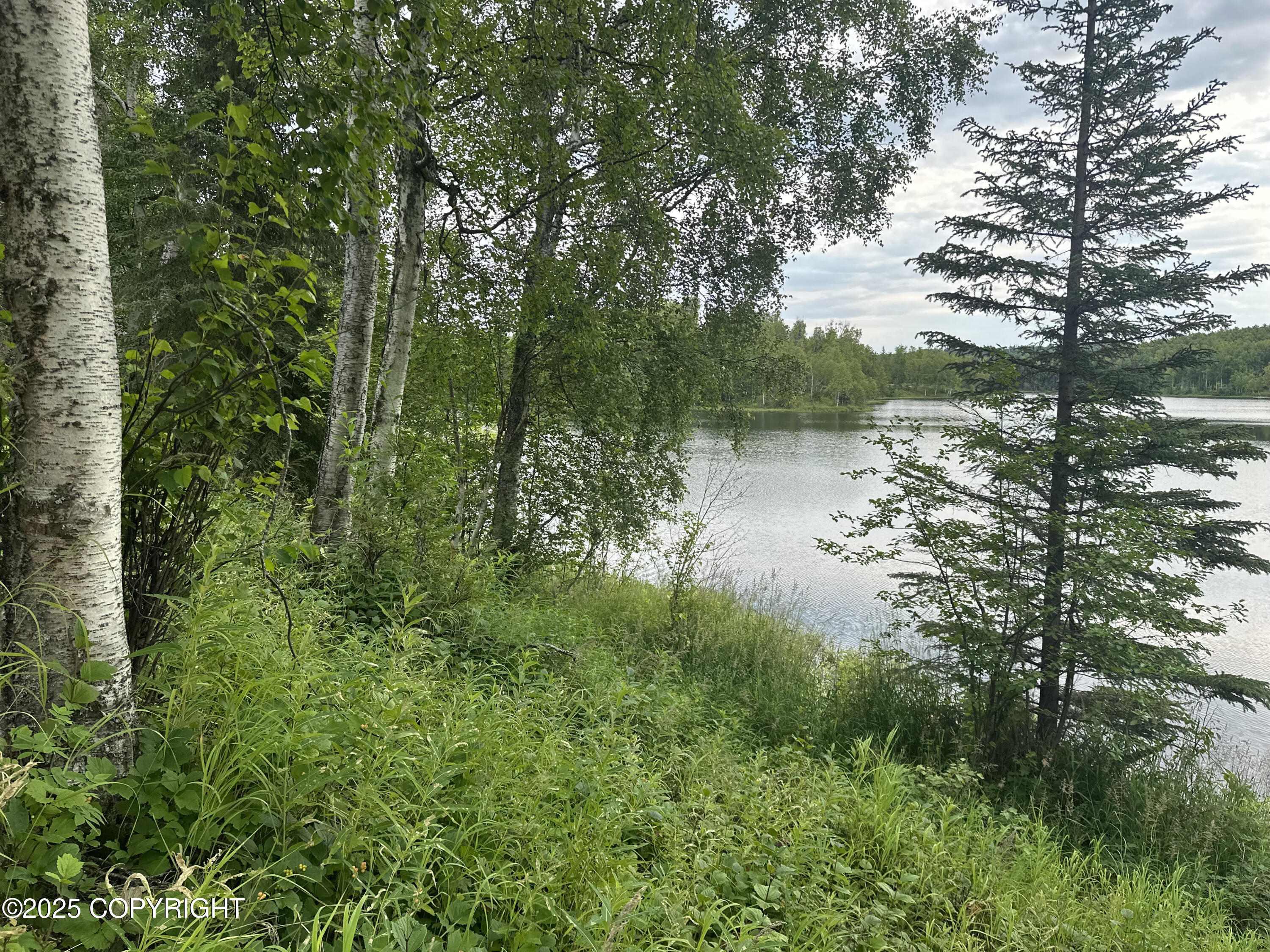 B005 Joye Road, Wasilla, Alaska image 21