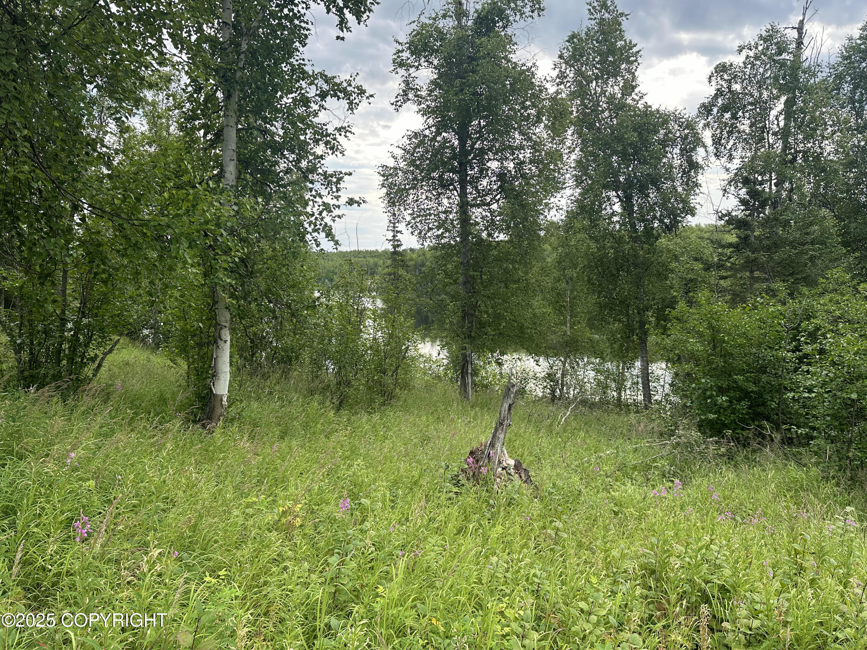 B005 Joye Road, Wasilla, Alaska image 22