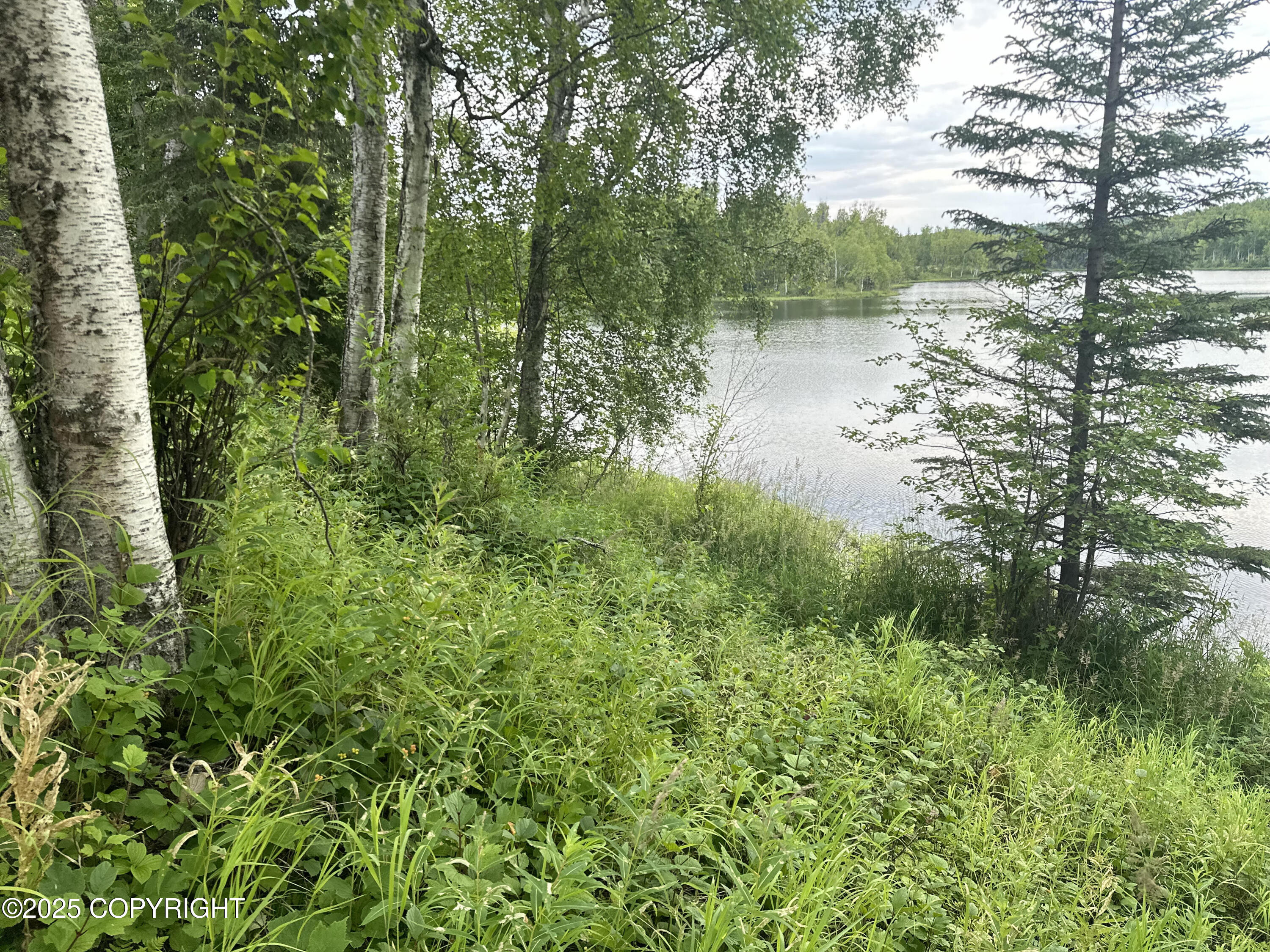 B005 Joye Road, Wasilla, Alaska image 19