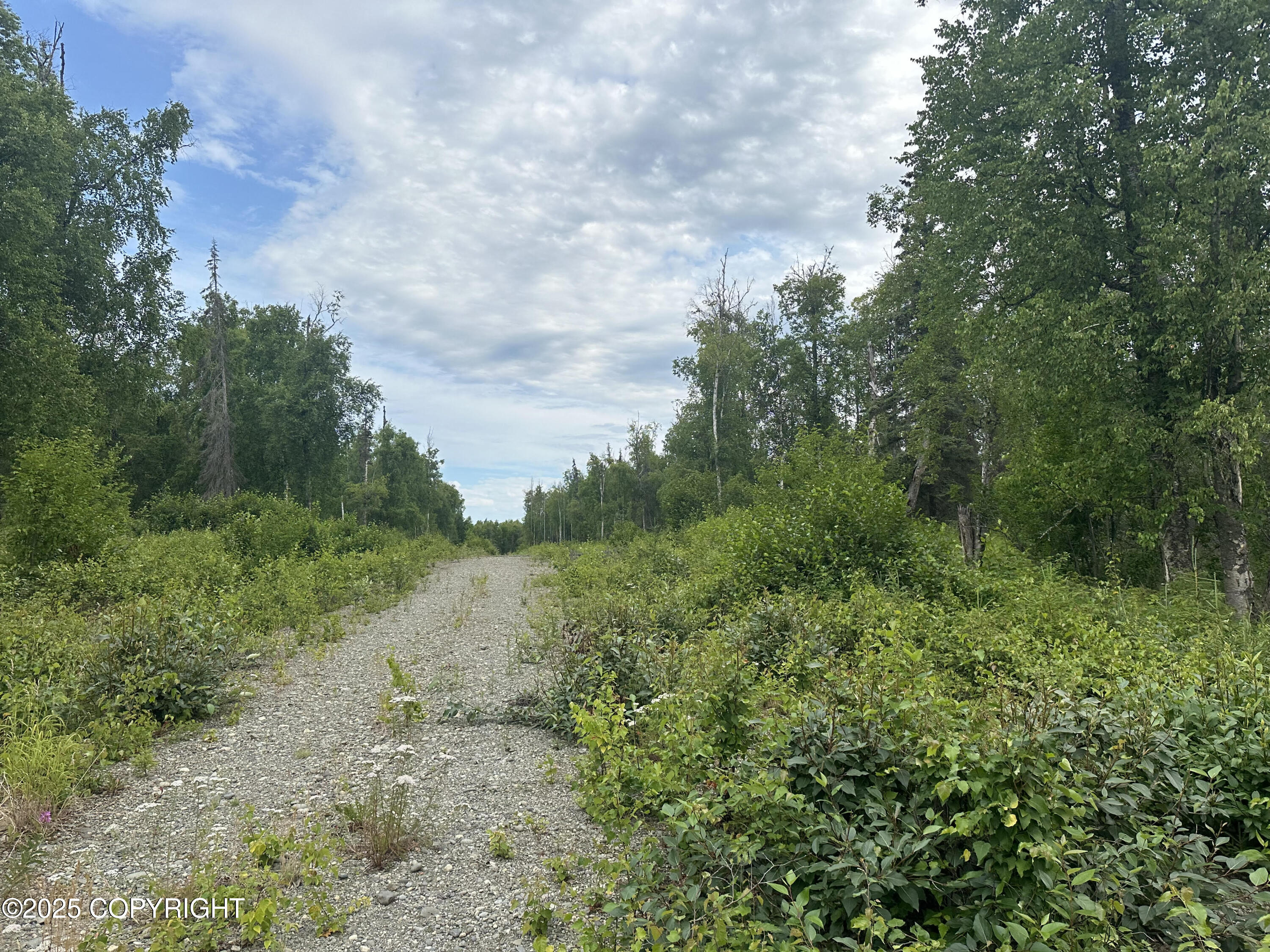 B005 Joye Road, Wasilla, Alaska image 14