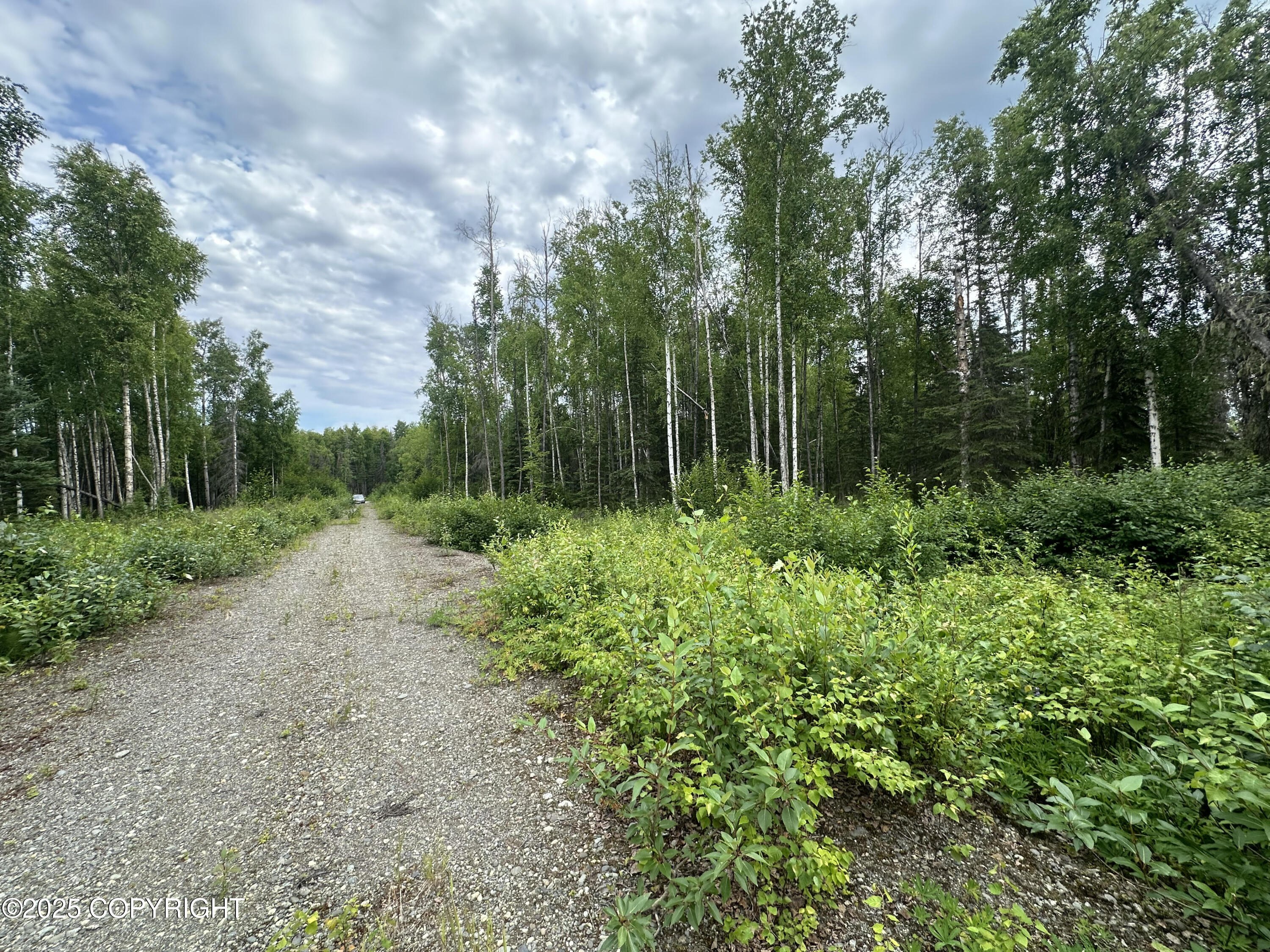 B005 Joye Road, Wasilla, Alaska image 2