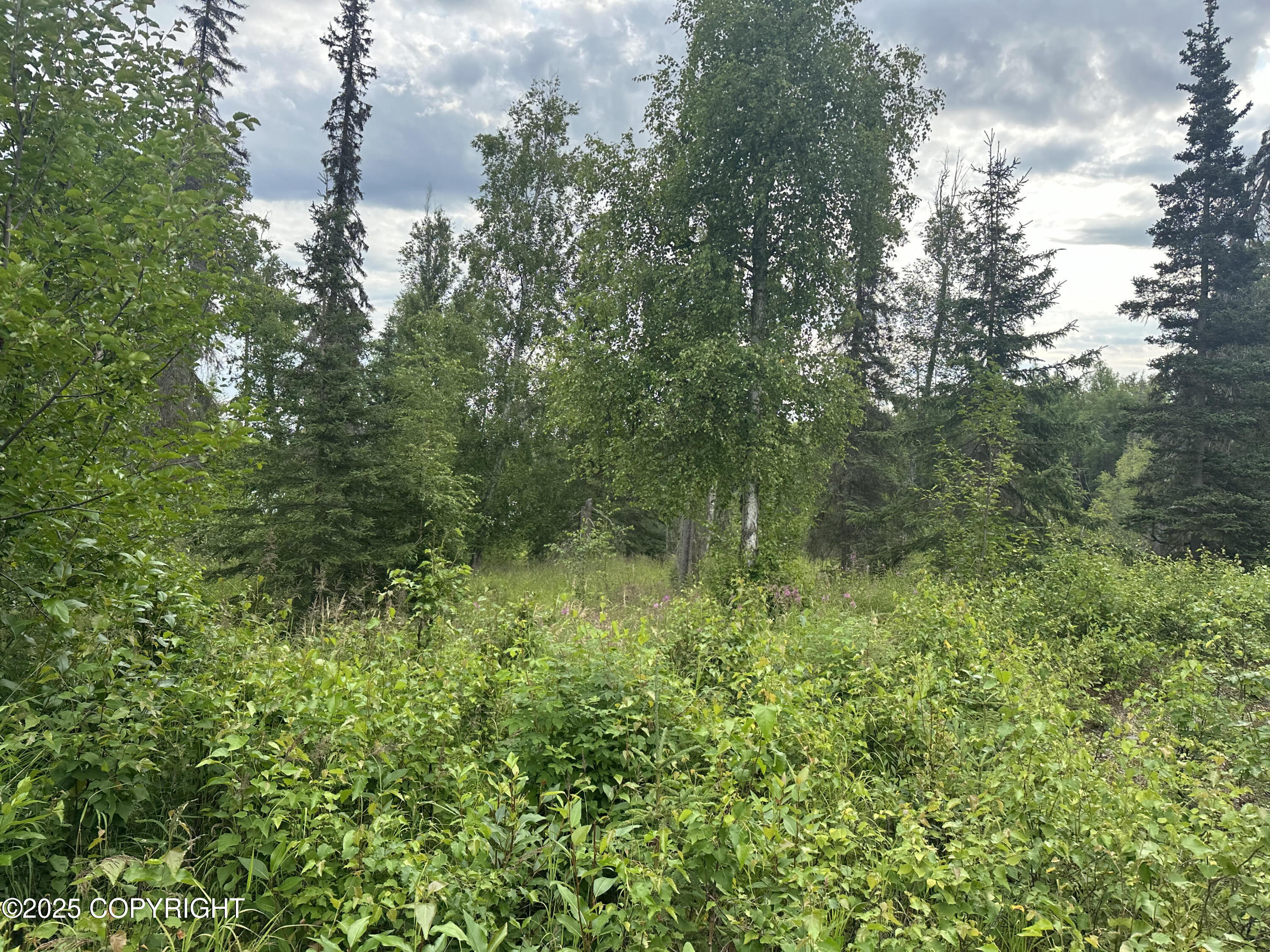B005 Joye Road, Wasilla, Alaska image 11