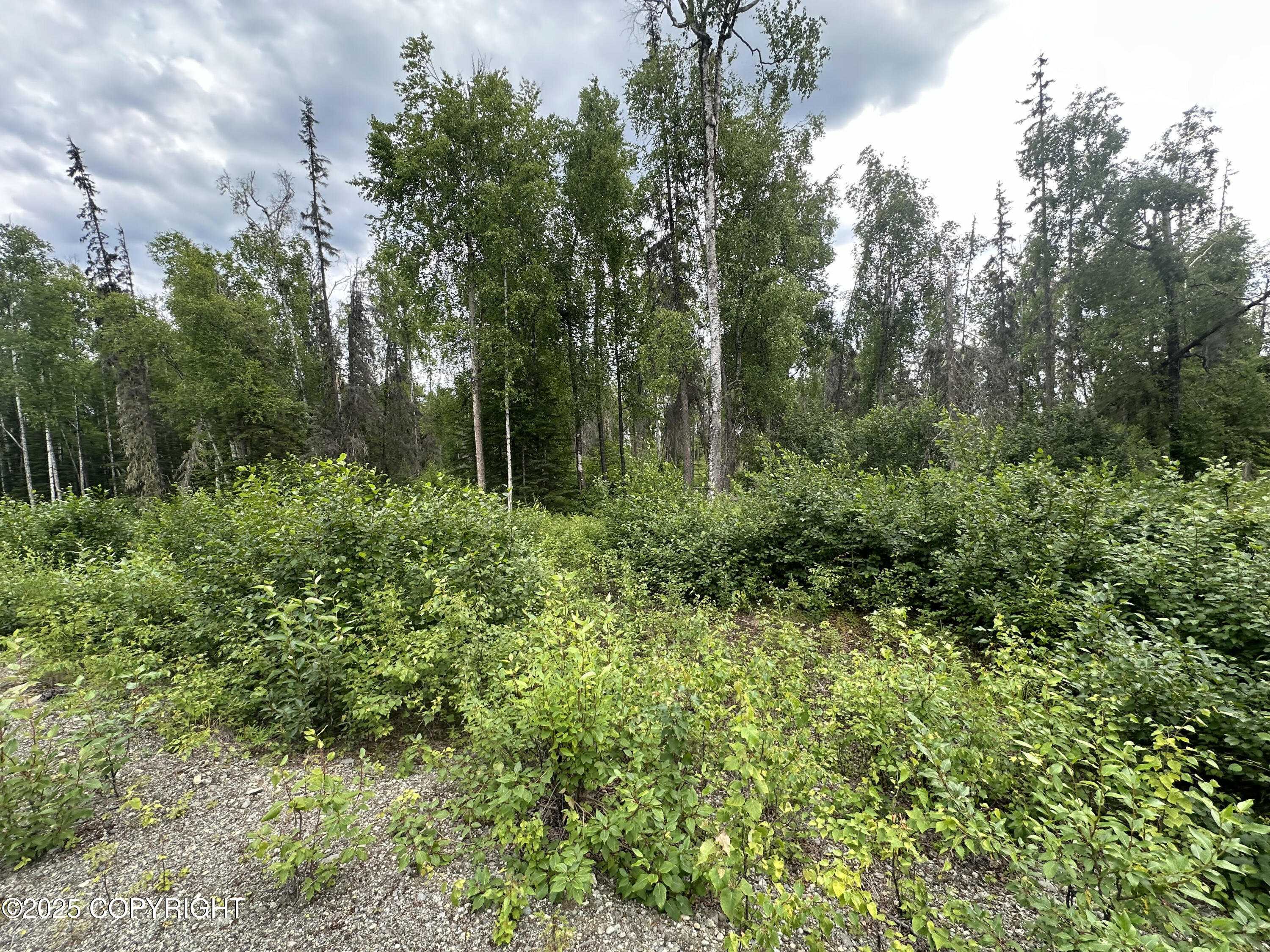 B005 Joye Road, Wasilla, Alaska image 7
