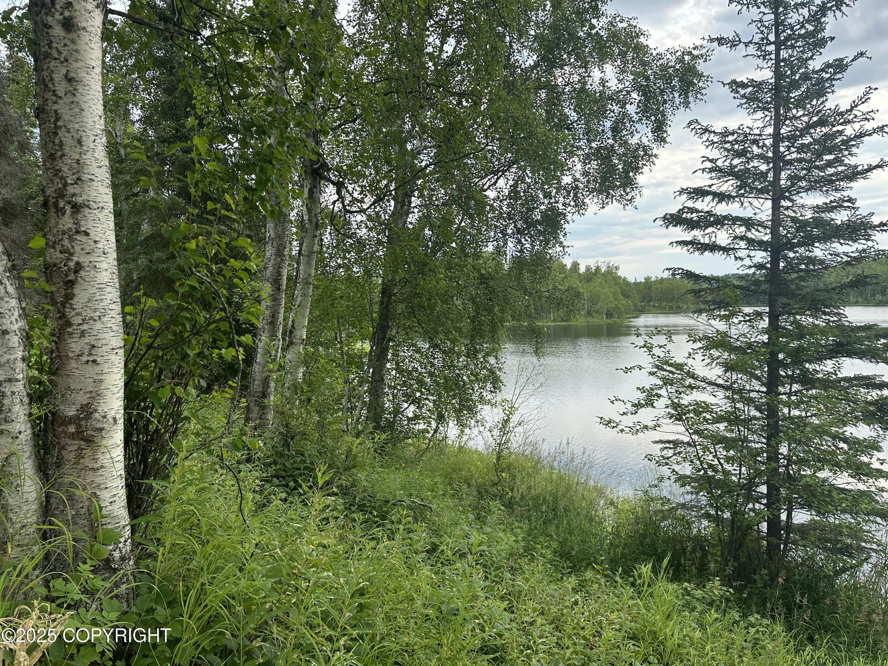 B005 Joye Road, Wasilla, Alaska image 1