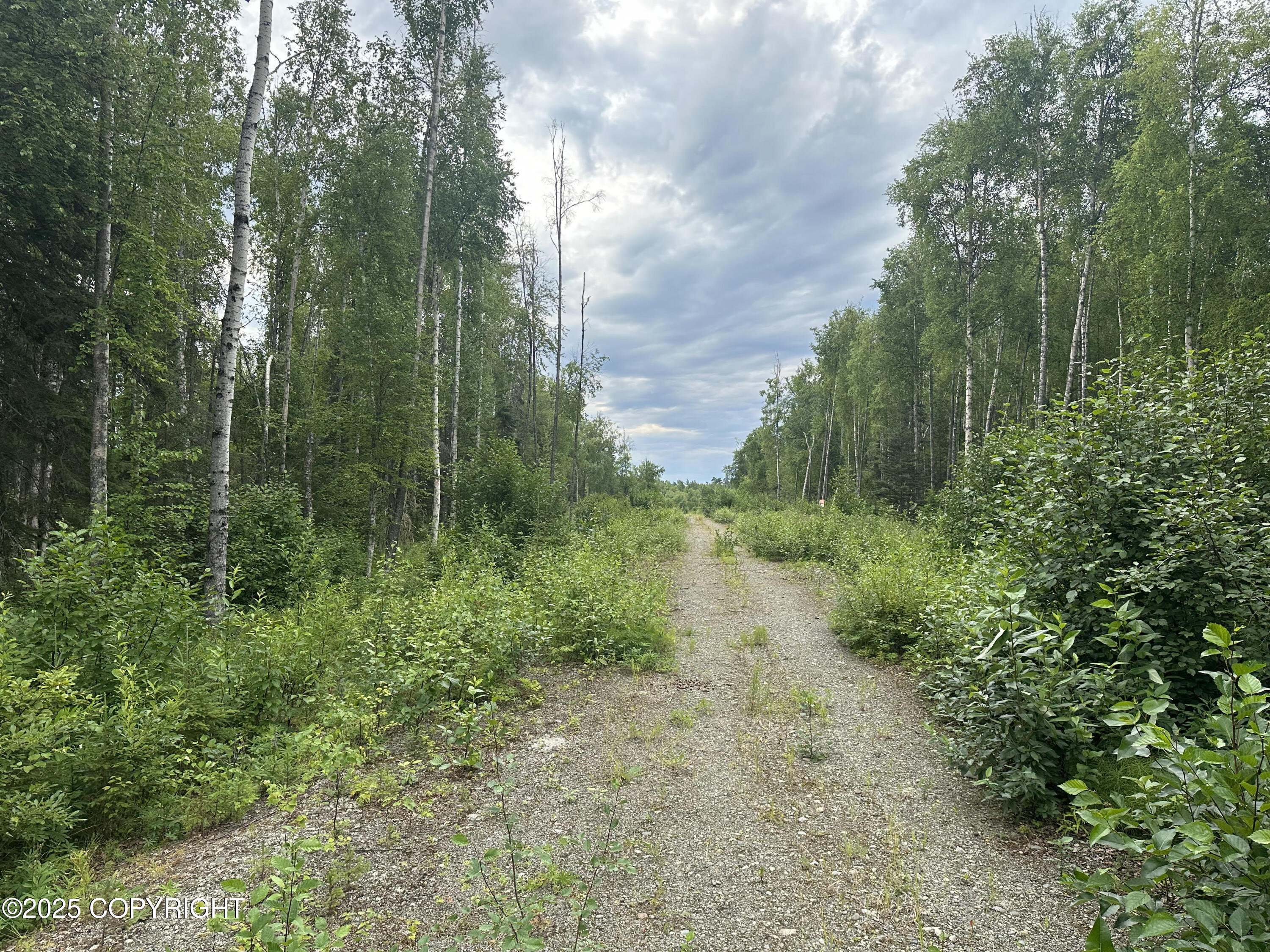 B005 Joye Road, Wasilla, Alaska image 3