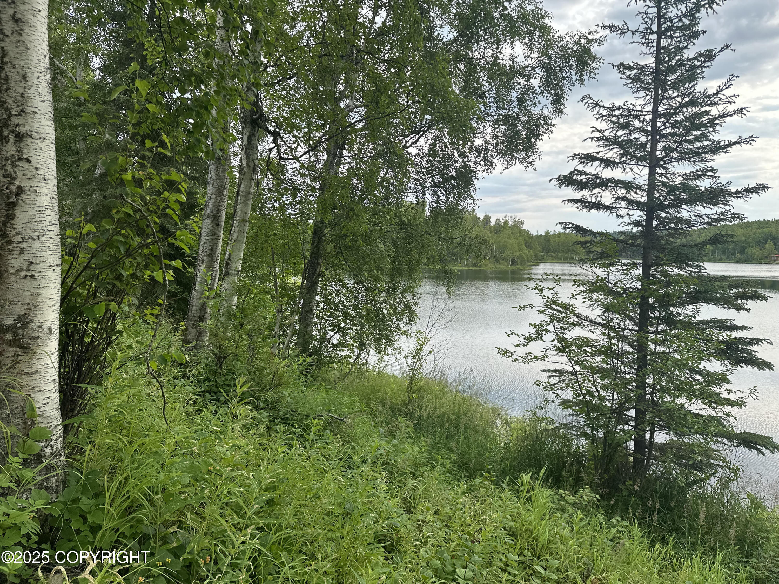 B005 Joye Road, Wasilla, Alaska image 23
