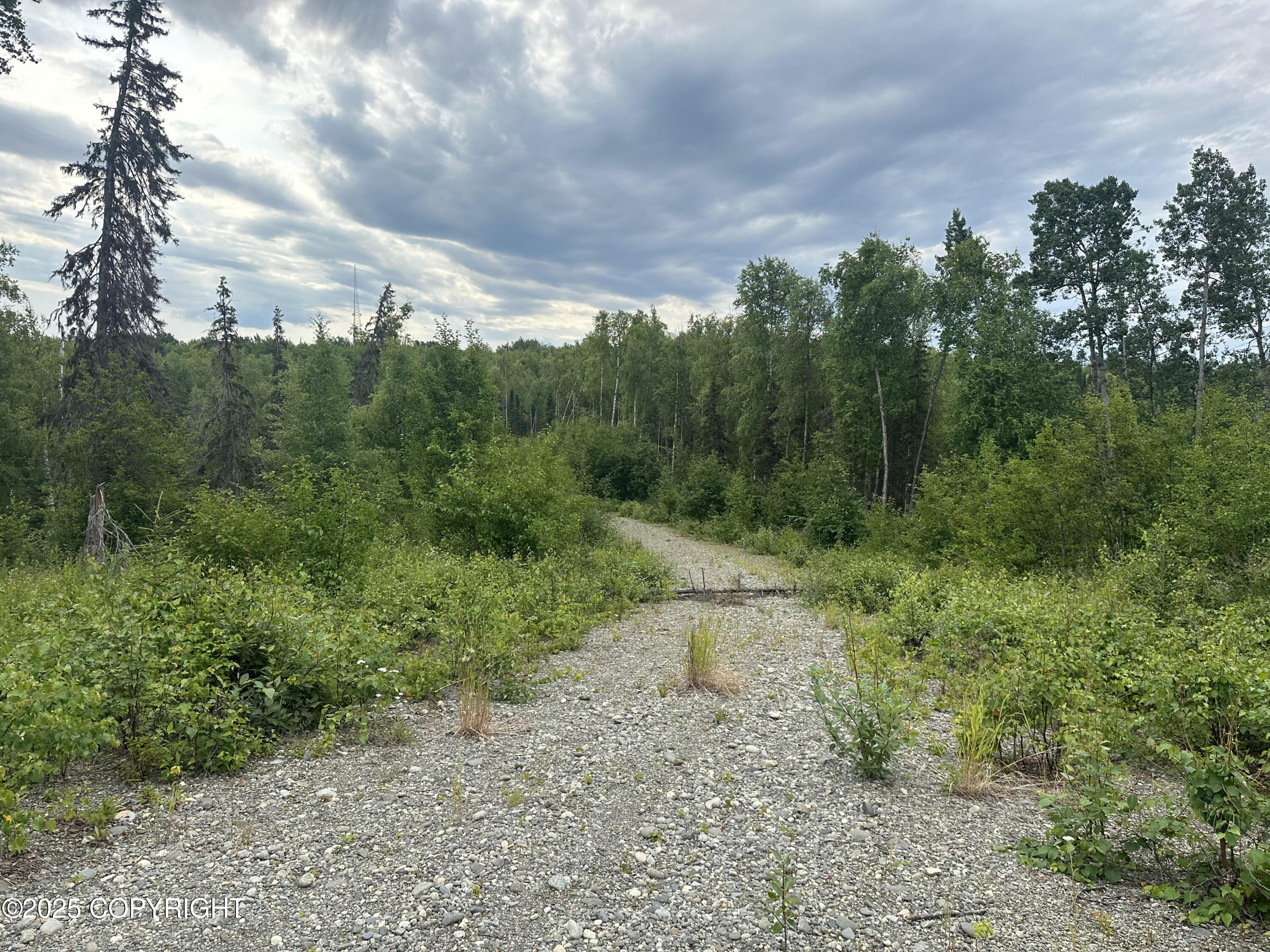 B005 Joye Road, Wasilla, Alaska image 15