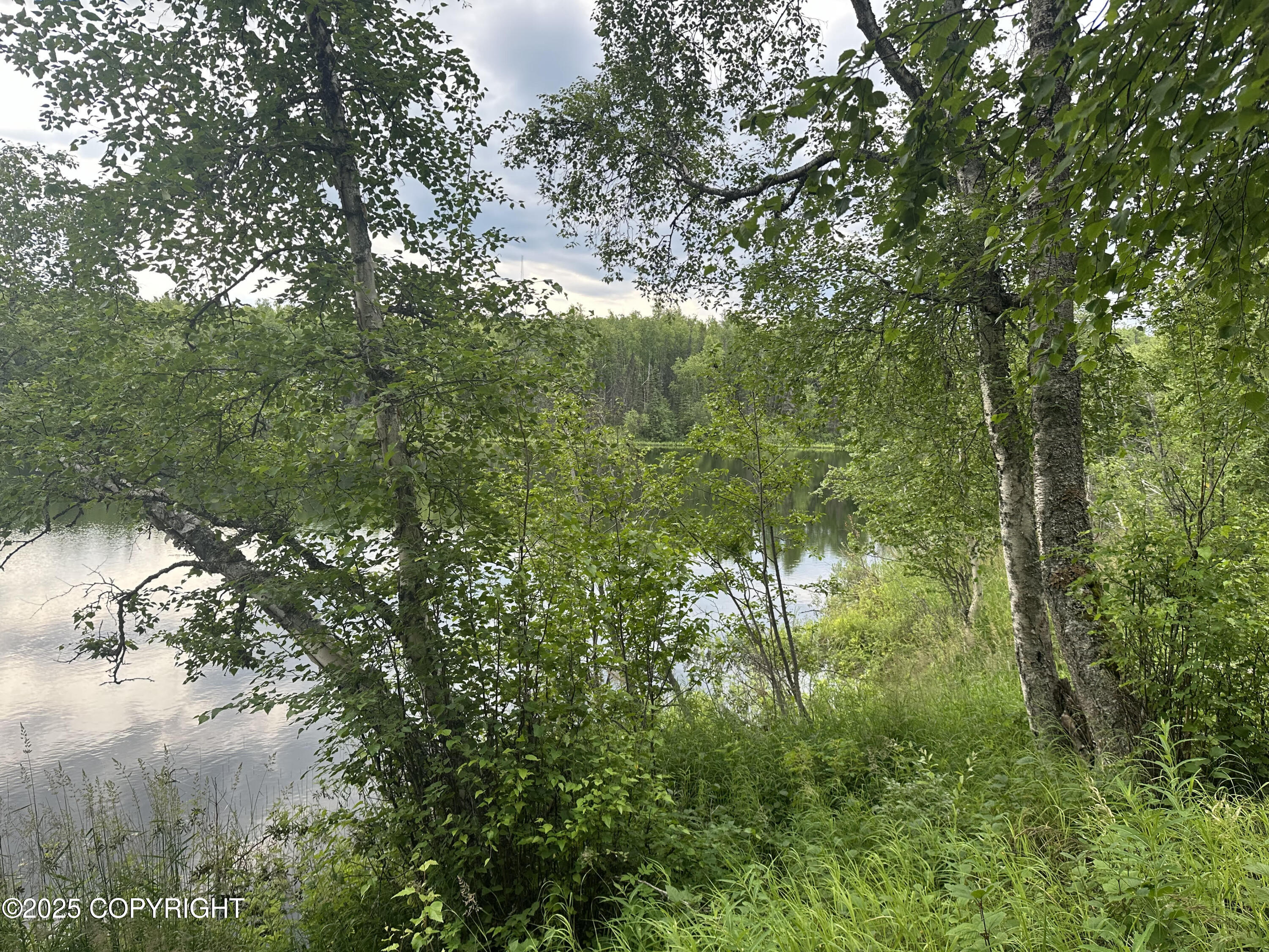 B005 Joye Road, Wasilla, Alaska image 18