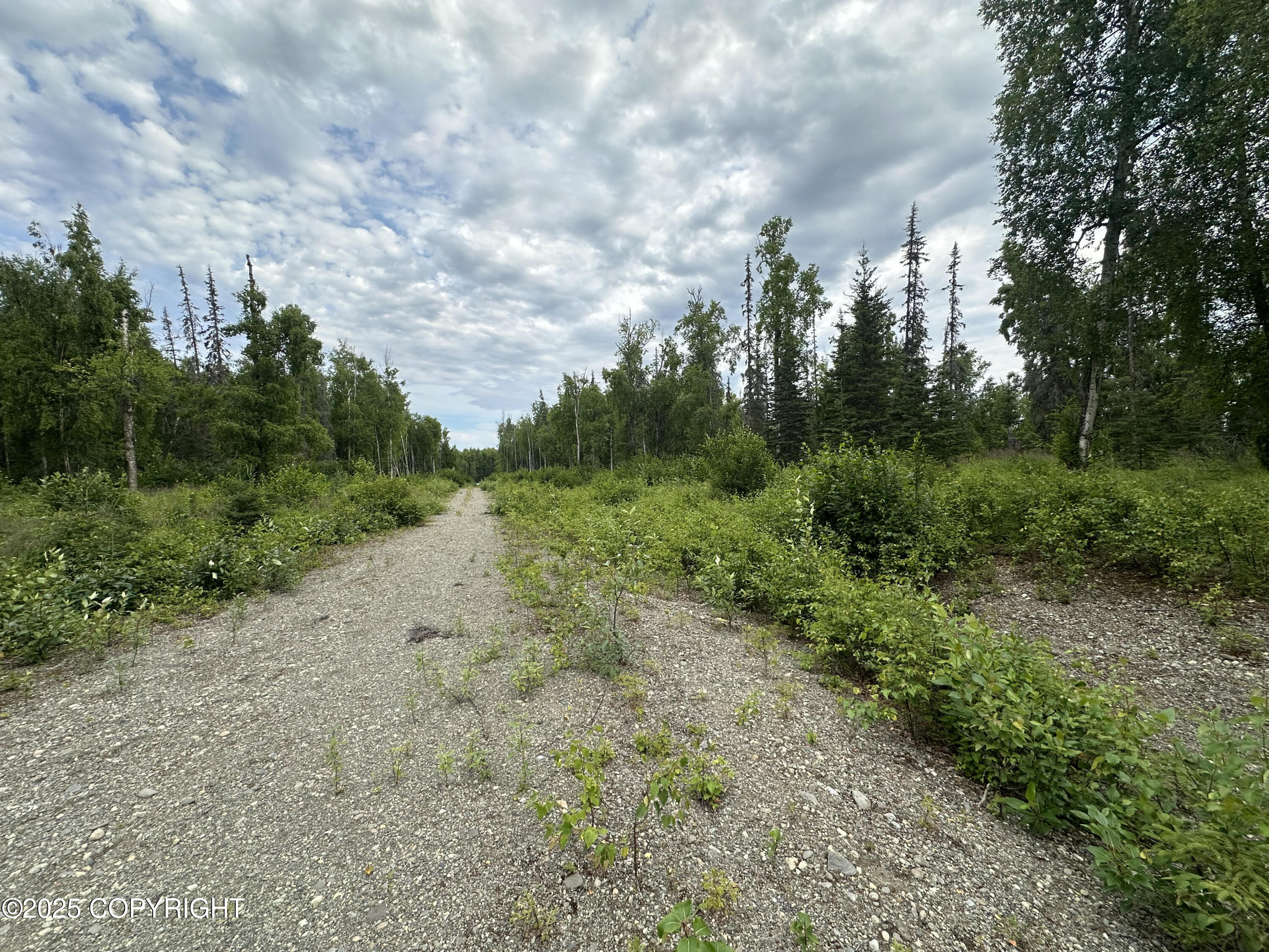 B005 Joye Road, Wasilla, Alaska image 9