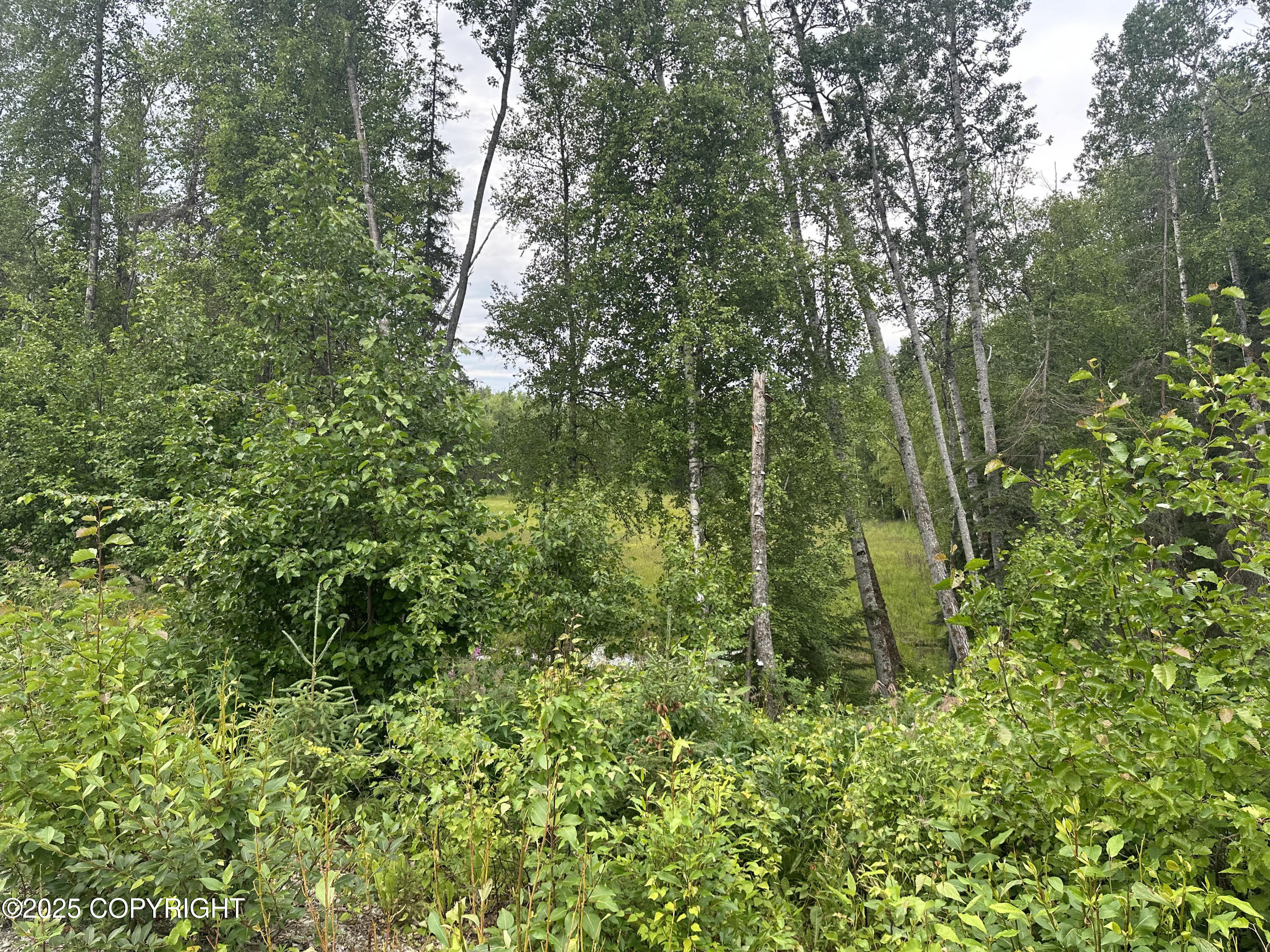 B005 Joye Road, Wasilla, Alaska image 12