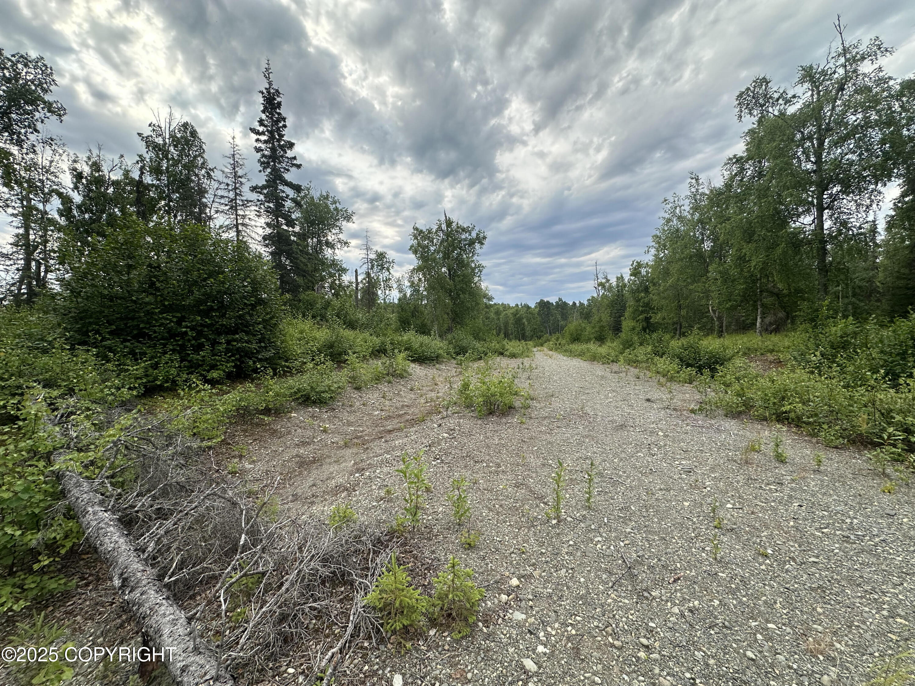 B005 Joye Road, Wasilla, Alaska image 8