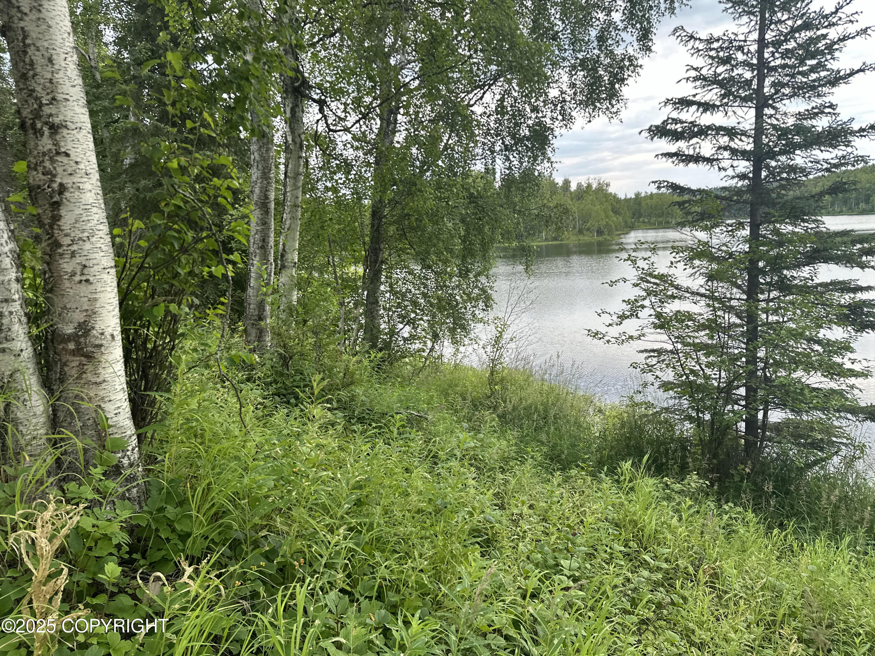 B005 Joye Road, Wasilla, Alaska image 20