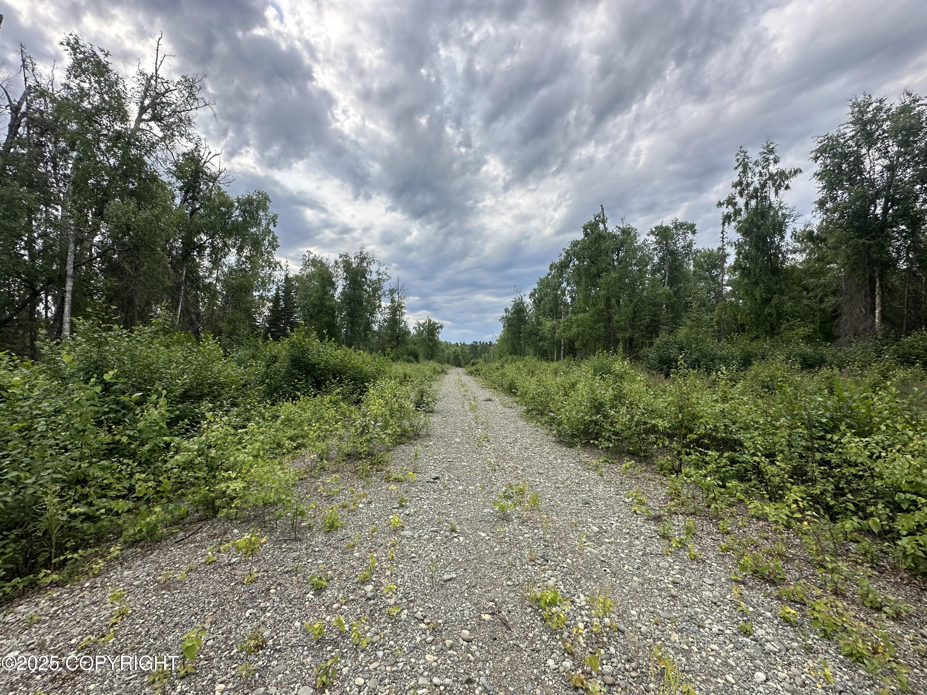 B005 Joye Road, Wasilla, Alaska image 6
