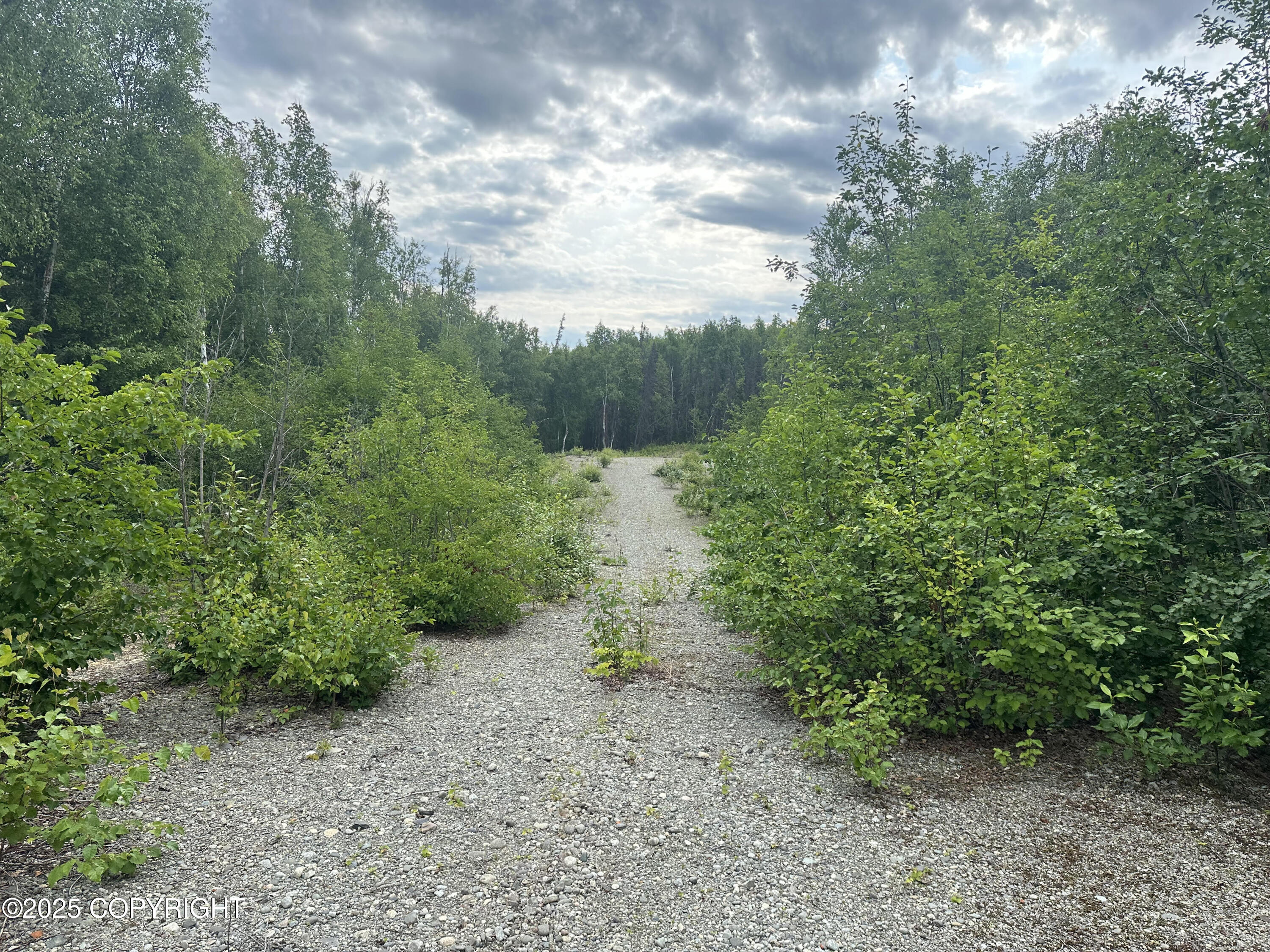 B005 Joye Road, Wasilla, Alaska image 13