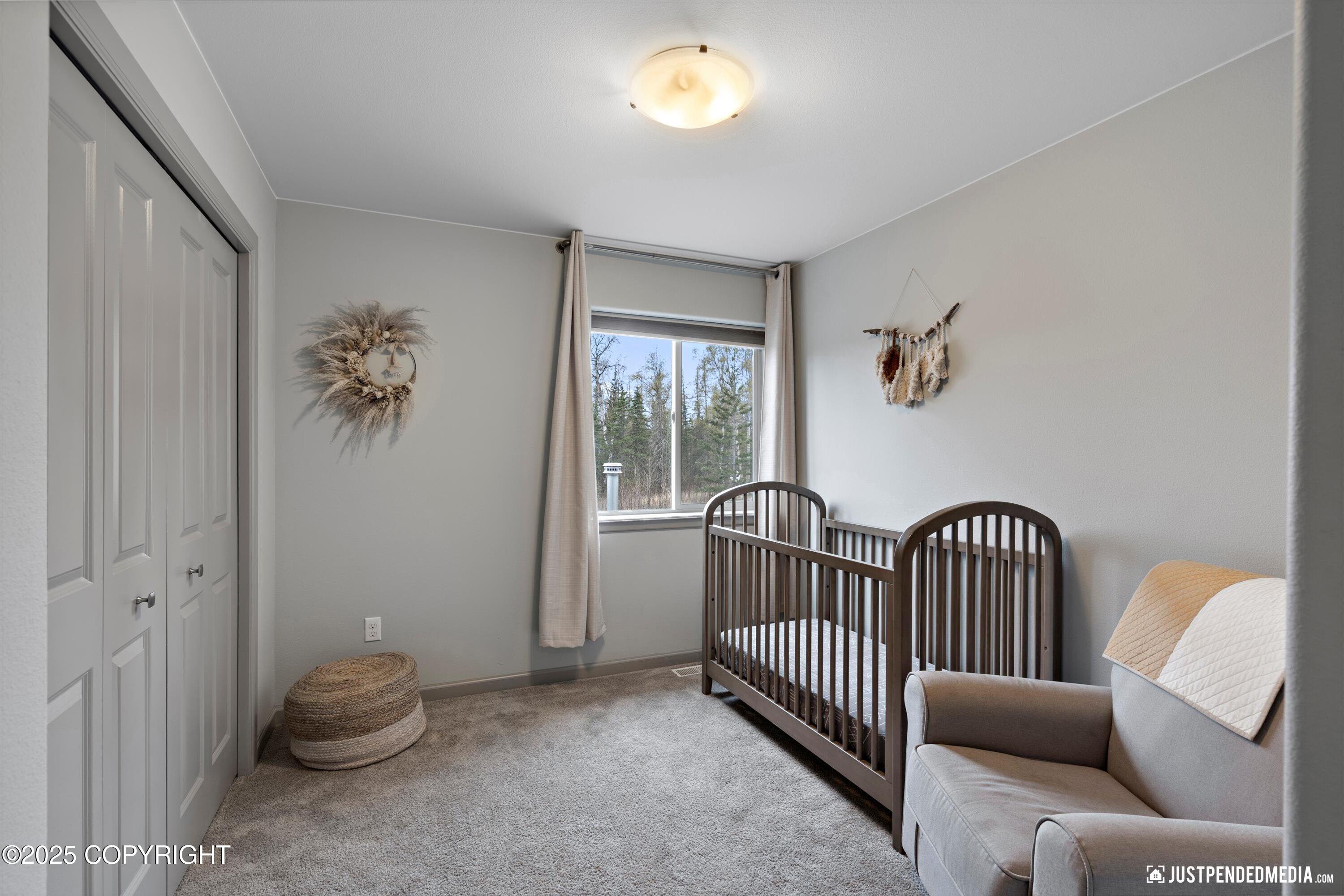 4481 E Mary Martin Drive, Wasilla, Alaska image 28
