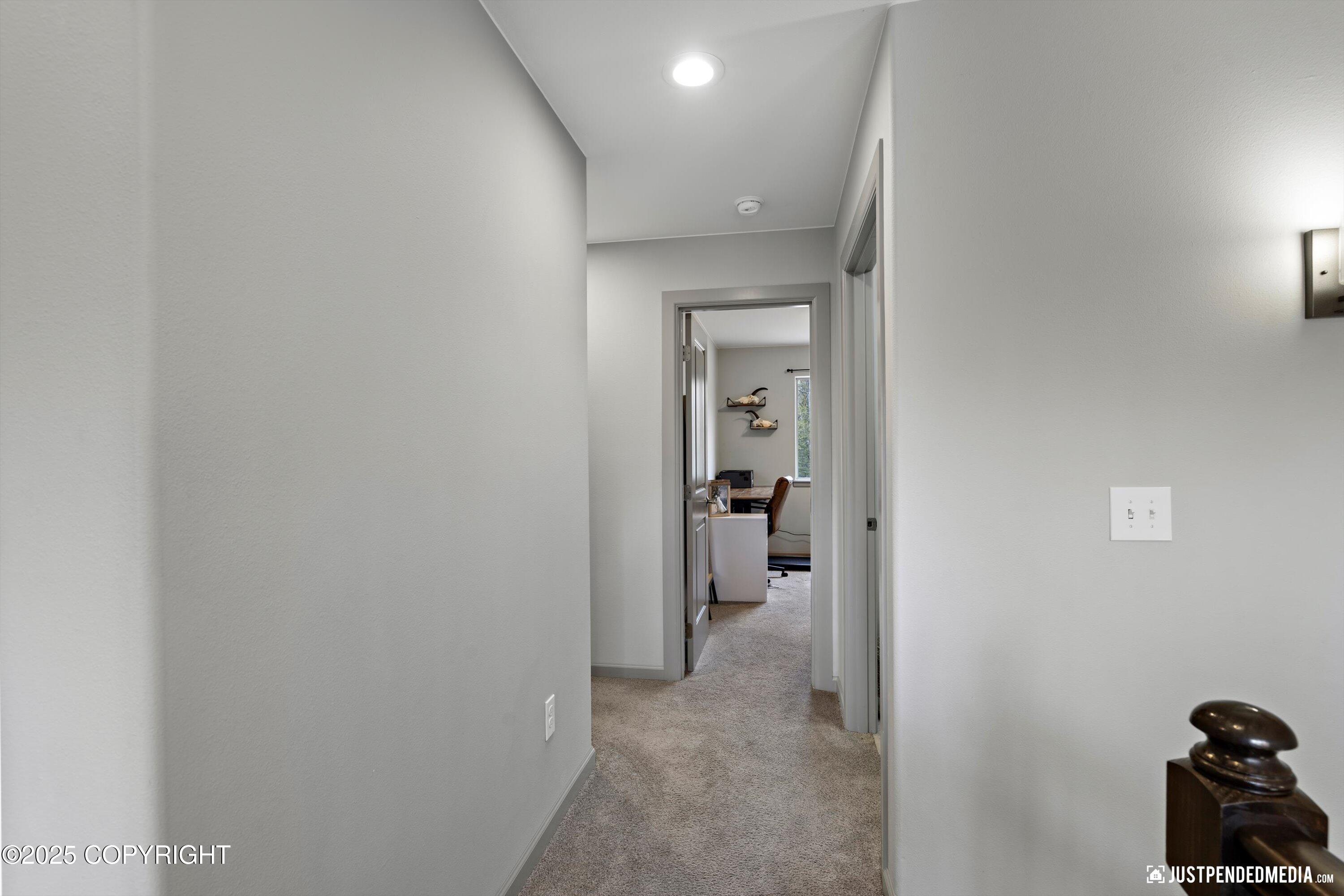 4481 E Mary Martin Drive, Wasilla, Alaska image 34