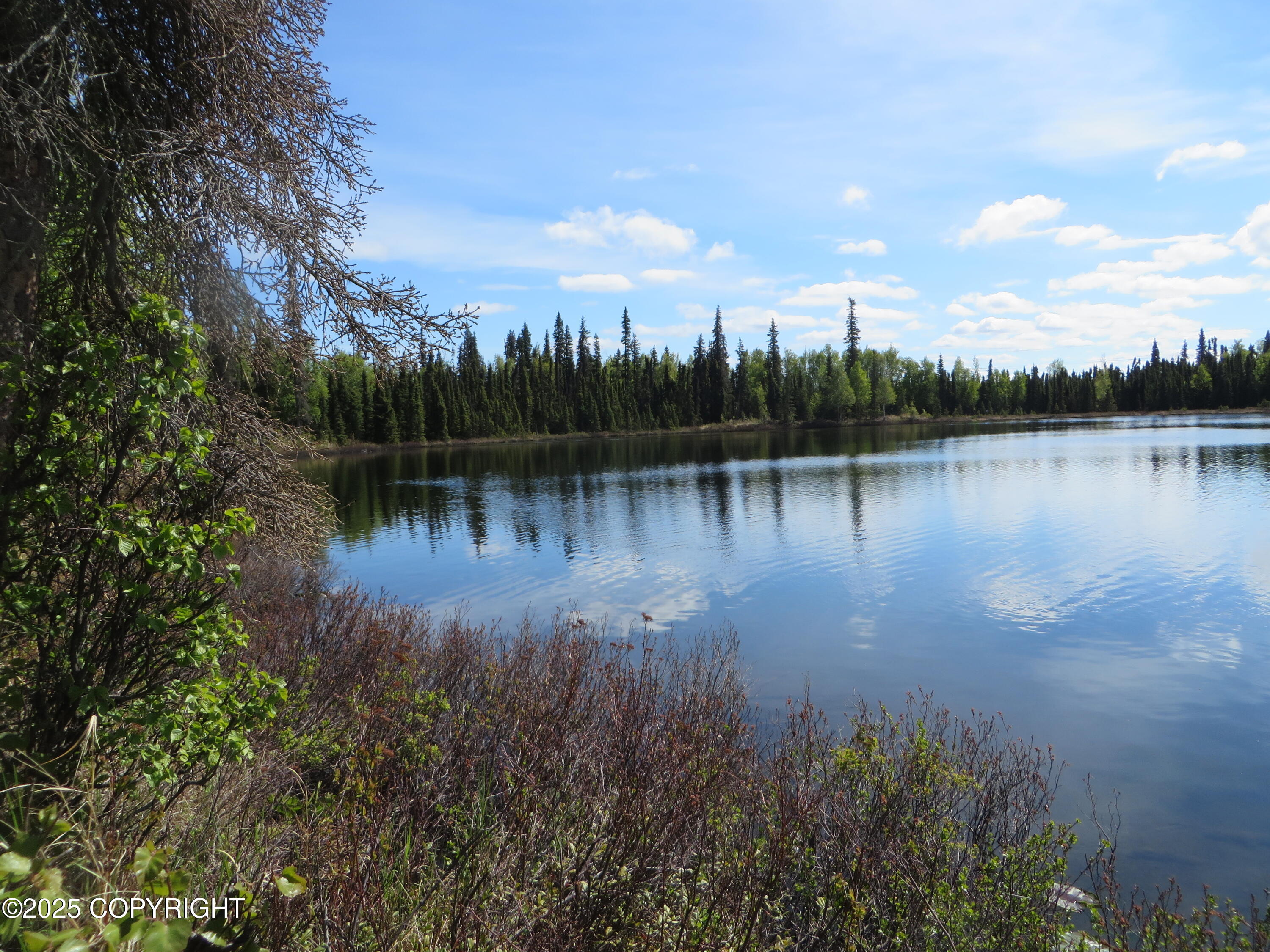 52225 Sterling Highway, Kasilof, Alaska image 6