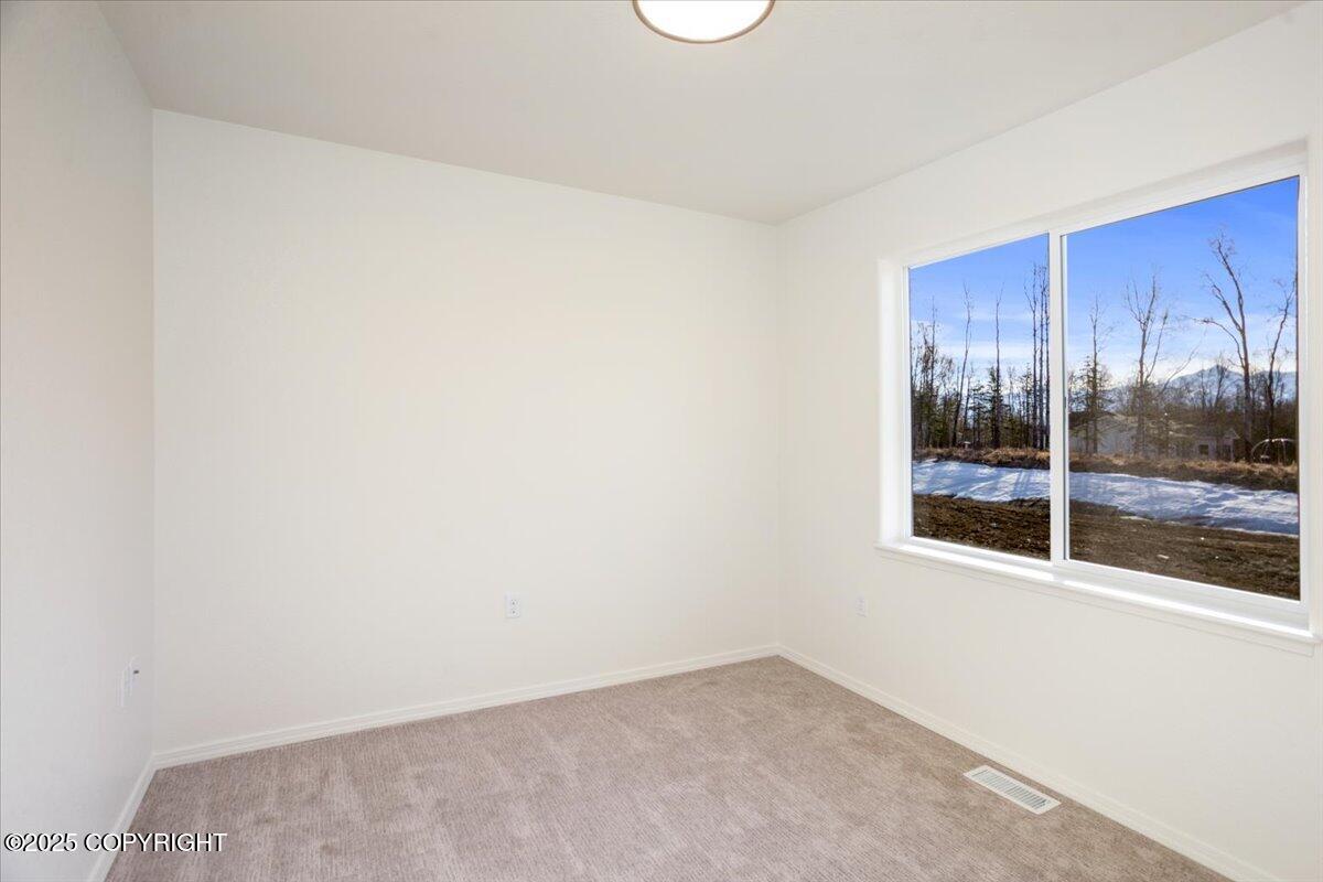 8747 E Strawberry Circle, Palmer, Alaska image 39