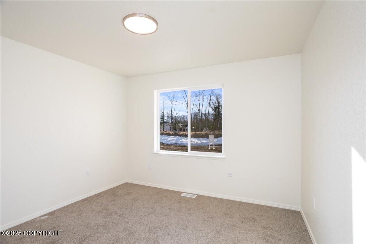 8747 E Strawberry Circle, Palmer, Alaska image 45