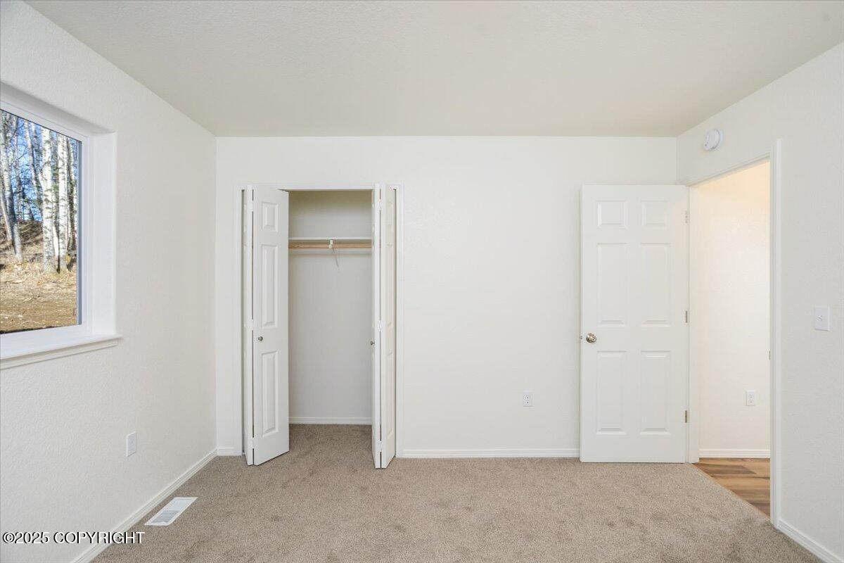 8747 E Strawberry Circle, Palmer, Alaska image 42