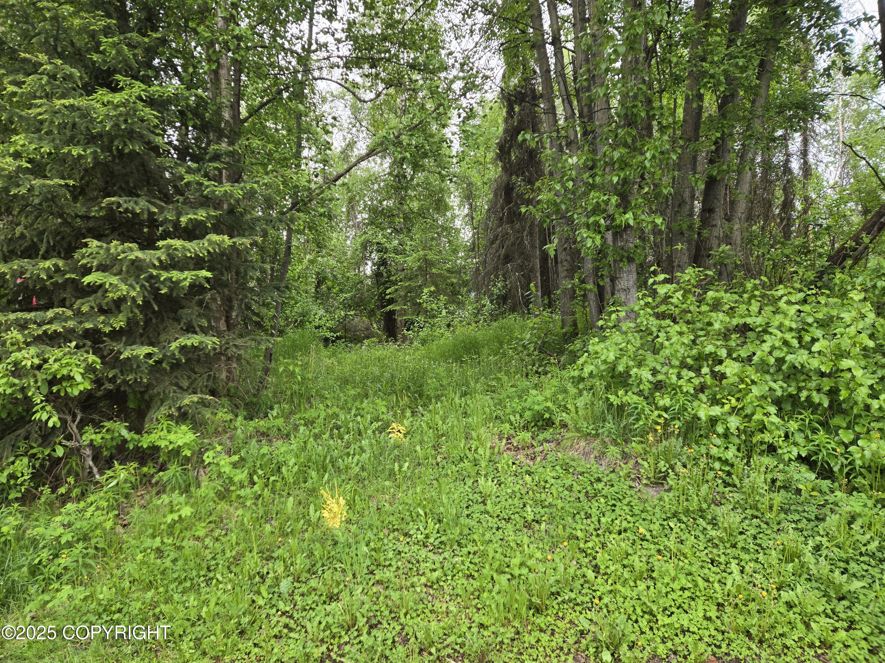 000 Rovenna Street, Anchorage, Alaska image 4